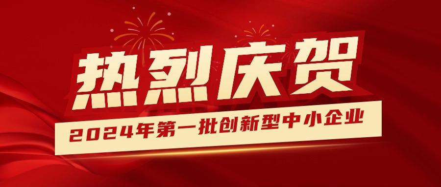 喜報！集團獲認定為2024年第一批創(chuàng)新型中小企業(yè) 