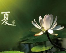 夏至節(jié)氣，廣西強(qiáng)壽藥業(yè)集團(tuán)提醒您注意防暑降溫