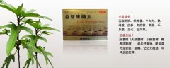 益智康腦丸治療什么病，益智康腦丸主治什么病