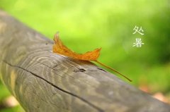 今日12時(shí)9分，迎來處暑節(jié)氣